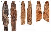 Kinh ngạc về độ tinh xảo của con dao 90 000 năm tuổi vừa được tìm thấy