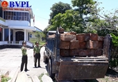 Vụ rừng phòng hộ Quảng Trị bị tàn phá bất chấp “công lệnh” của Phó Thủ tướng Vì sao chưa khởi tố vụ án