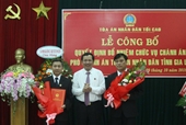 Tòa án nhân dân tối cao bổ nhiệm nhân sự tại Gia Lai, Đắk Lắk