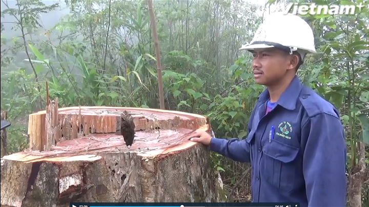 Đột kích sào huyệt phá rừng được coi là an toàn nhất Tây Nguyên