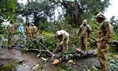 Bão Titli càn quét miền Đông Ấn Độ, ít nhất 57 người thiệt mạng