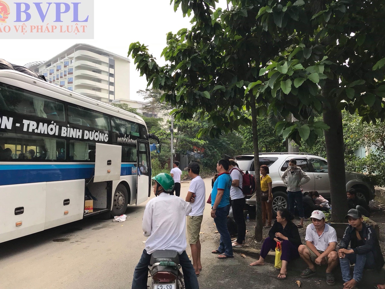 Bắt xe khách giường nằm chở gia cầm và mỡ heo không rõ nguồn gốc