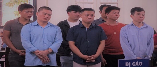 Nhóm đối tượng trộm 311 màn hình máy tính hầu toà