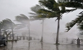Các địa phương liên tục cập nhật thông tin, chủ động ứng phó với bão Yutu