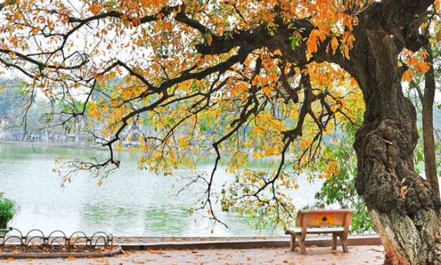 Tháng 11 miền Bắc sẽ đón 4 - 6 đợt không khí lạnh