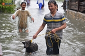 Nha Trang ngập nặng sau mưa lớn hàng chục nhà sập 19 người thương vong