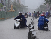 TP Hồ Chí Minh mưa lớn trên diện rộng, cây bật gốc đè chết người