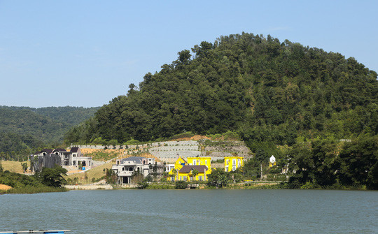 Yêu cầu thanh tra toàn diện việc quản lý, sử dụng đất rừng ở huyện Sóc Sơn