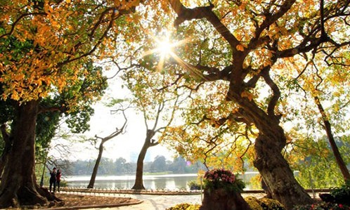 Thời tiết 29 11 Miền Bắc nắng ráo, miền Trung tiếp tục có mưa to