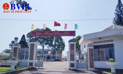 Viện kiểm sát kiến nghị UBND huyện áp dụng biện pháp phòng ngừa tội phạm