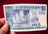 Tài xế Trung Quốc đối mặt án tù tại Singapore vì nhận hối lộ 1 đôla