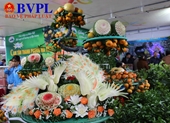 Hà Tĩnh tổ chức Lễ hội cam năm 2018