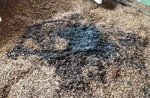 Ngày mai xét xử các đối tượng nhuộm pin vào phế phẩm để trộn tiêu