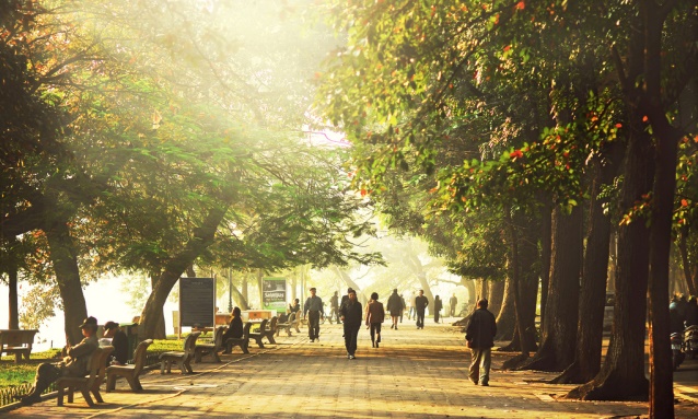 Bắc Bộ đêm và sáng trời rét, ngày có nắng và hanh khô