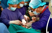Việt Nam lần đầu ghép thành công hai phổi từ người chết não