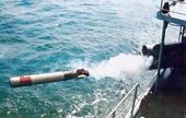 Nội soi sức mạnh ngư lôi nghi của Trung Quốc dạt vào bờ biển Phú Yên