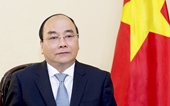 Thủ tướng chỉ đạo triển khai các biện pháp bảo hộ công dân Việt Nam tại Ai Cập