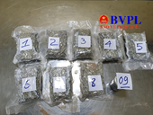 CLIP Bóc mẽ thủ đoạn cất giấu 2,3kg ma túy từ Mỹ về Việt Nam