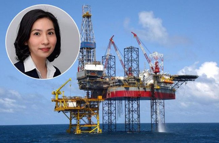 Đại án OceanBank Bắt tạm giam nữ Phó Tổng giám đốc PVEP Vũ Thị Ngọc Lan