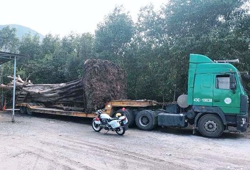 Cây khủng tiếp tục lọt nhiều trạm CSGT trên quốc lộ, bị bắt giữ tại Huế