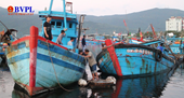 Phát hiện nhóm ngư dân lạ mặt khai thác tận diệt hải sản ở Đà Nẵng