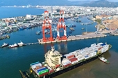 Cung cấp dịch vụ giá “vượt trần”, Cảng Quy Nhơn bị xử phạt hành chính