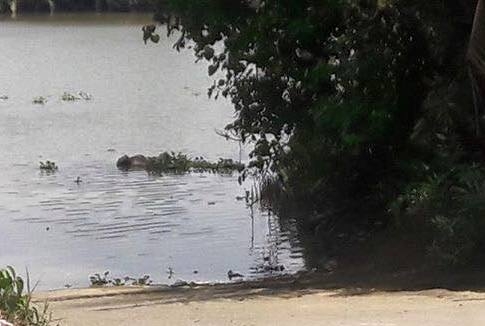 Một cô gái bị hiếp giết rồi phi tang xác xuống sông ngày cận Tết