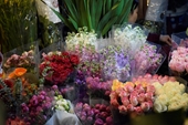 Đêm không ngủ ở chợ hoa Tết lớn nhất Hà Nội