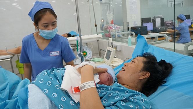 6 heo vàng chào đời đúng thời khắc Giao thừa