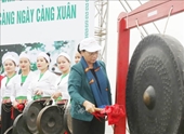 Chủ tịch Quốc hội Nguyễn Thị Kim Ngân dự Lễ ra quân hưởng ứng Tết trồng cây