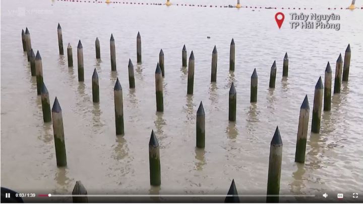 Di tích Bạch Đằng Giang đón 200 000 lượt khách dịp đầu năm