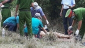 Hiện trường phát hiện thi thể người phụ nữ lõa thể tại bìa rừng Trà Nô