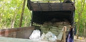 Phát hiện xe tải đổ trộm khoảng 100 tấn bùn thải nhiều lần trong vườn cao su