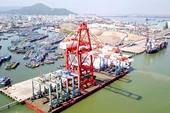 Yêu cầu báo cáo Thủ tướng kết luận thanh tra việc CP hóa Cảng Quy Nhơn