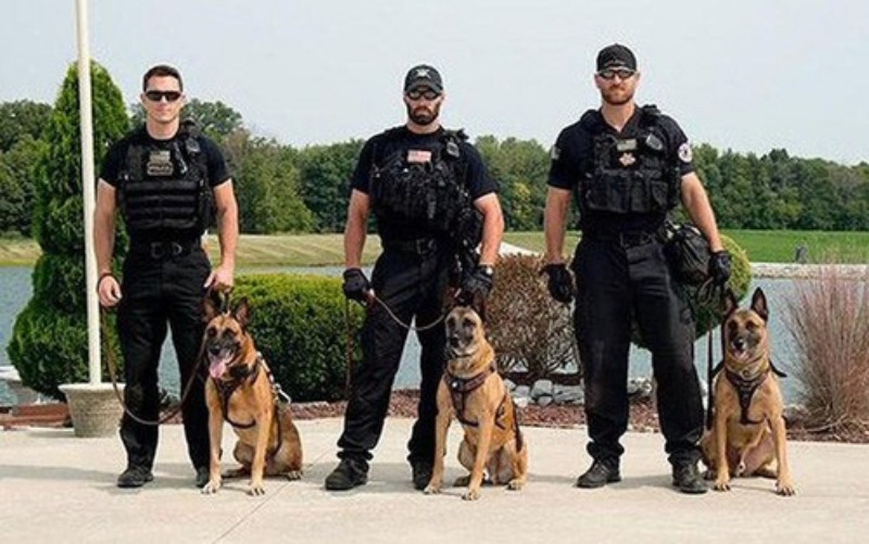 Hé lộ bí mật của đội cảnh khuyển K9 bảo vệ Tổng thống Trump