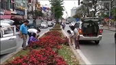 Nhiều người Hà Nội ngang nhiên dừng ô tô giữa đường lấy hoa trang trí sau hội nghị thượng đỉnh Mỹ - Triều