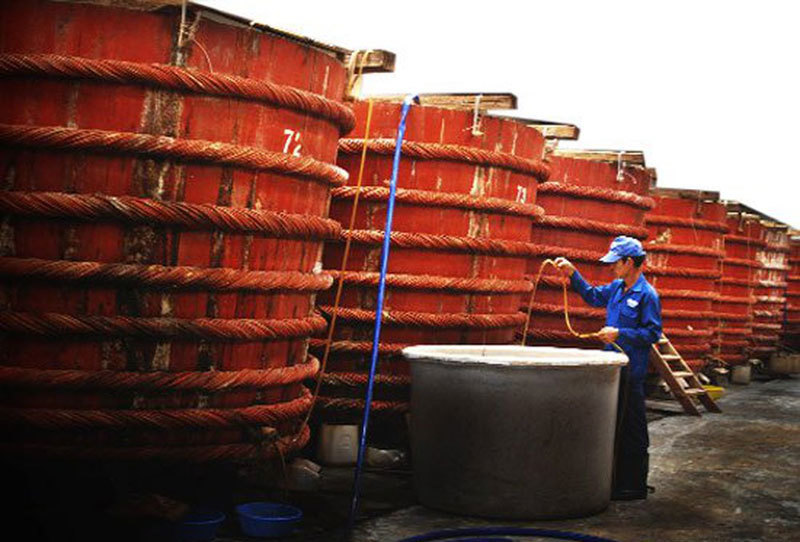 Phó Thủ tướng Vũ Đức Đam Không để ảnh hưởng tiêu cực đến sản xuất nước mắm truyền thống