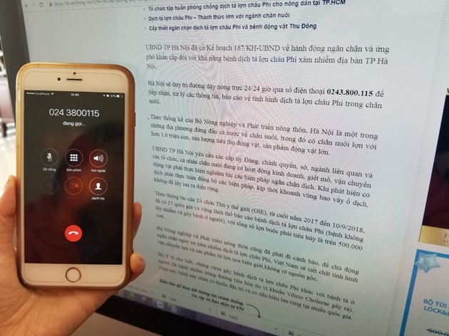 Đường dây nóng trực dịch tả lợn châu Phi tại Hà Nội   đông lạnh