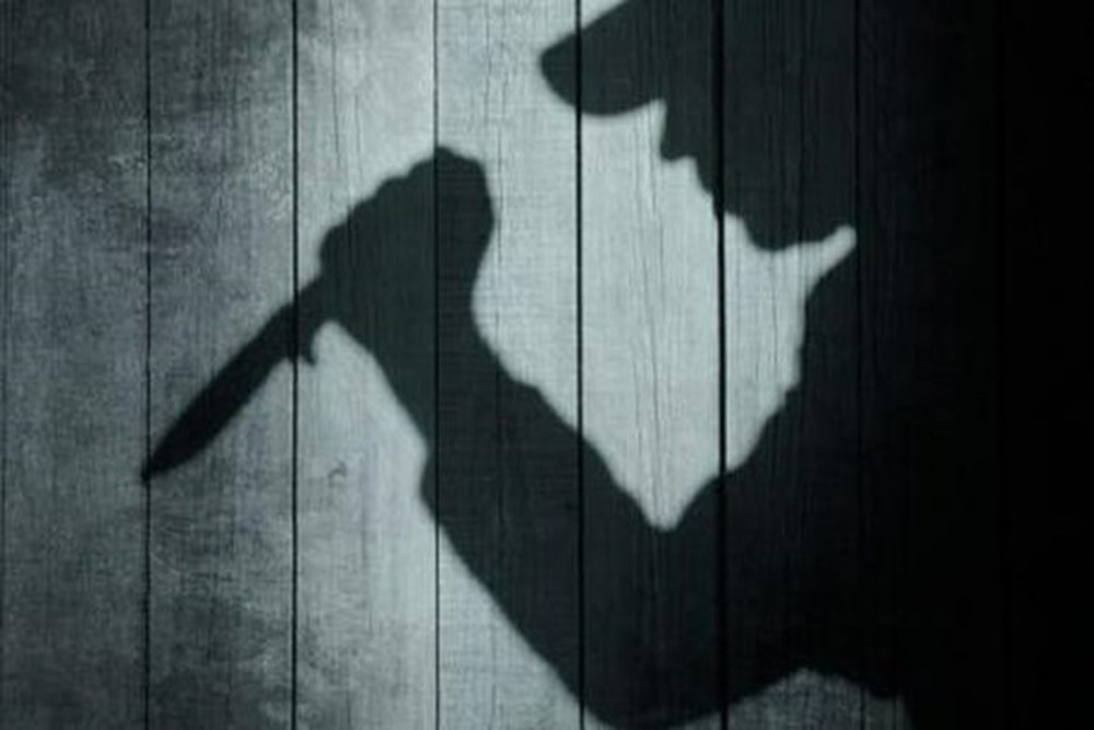 Bị la mắng, thiếu nữ dùng dao đâm chết mẹ ruột