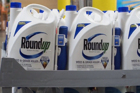 Việt Nam ngừng nhập khẩu thuốc trừ cỏ chứa Glyphosate gây ung thư
