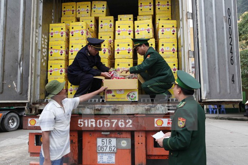 Nhiều cán bộ Hải quan, Biên phòng bị kiểm điểm vì để xảy ra buôn lậu phức tạp