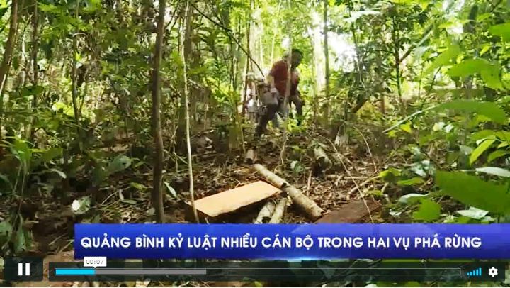 Quảng Bình kỷ luật nhiều cán bộ trong hai vụ phá rừng