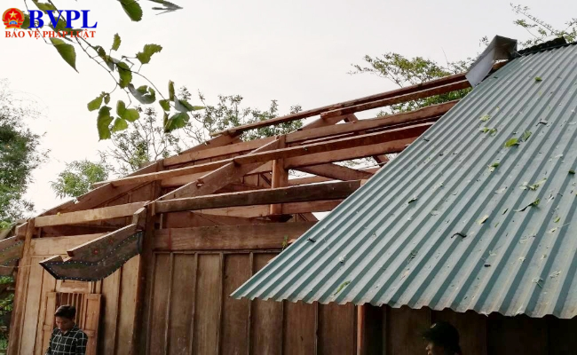 Mưa đá oanh tạc tàn phá nhiều nhà cửa và hoa màu ở Nghệ An