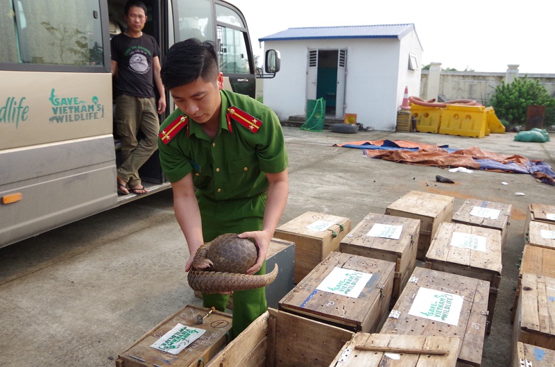 Truy đuổi kinh hoàng trên đường cao tốc bắt ô tô chở hàng cấm, phát hiện nhiều biển số xe giả