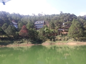 Phó Thủ tướng chỉ đạo xử lý dứt điểm vi phạm đất đai trong Khu Du lịch Hồ Tuyền Lâm