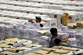130 nhân viên kiểm phiếu, cảnh sát Indonesia chết vì kiệt sức sau bầu cử