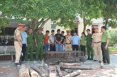 Phát hiện xe khách biển số Lào vận chuyển hàng tươi sống và gỗ trắc trái phép