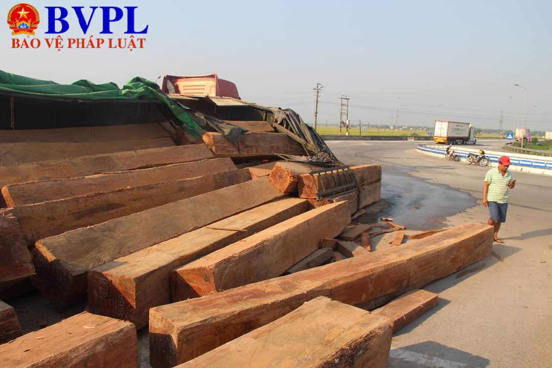 Ôm cua gấp, xe đầu kéo chở gỗ lật nhào giữa đường