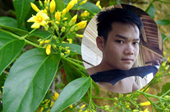 Nghi can sát hại em gái ở Điện Biên ăn lá ngón tự tử