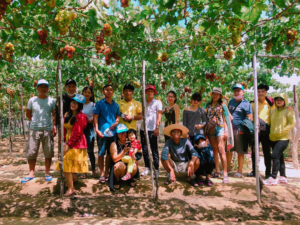 Nho chín rộ, bãi tắm hoang dã mê hoặc khách du lịch